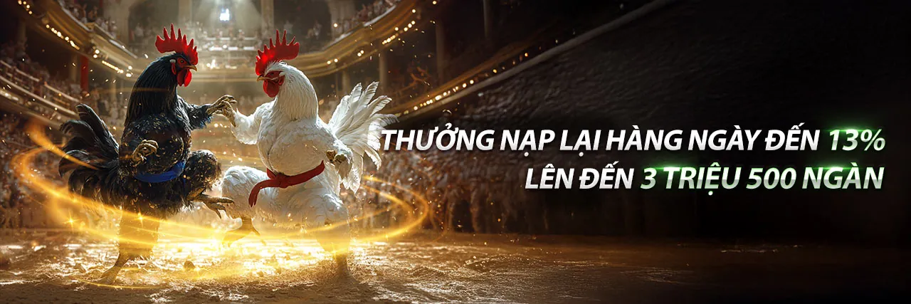Đá gà chọi trực tiếp ở Thomo kịch tính